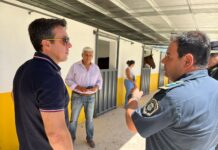 Llegó la primera tanda de caballos y se aumentan los operativos de la policía montada