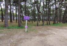 Se reparan carteles del Sendero de Hongos que habían sido vandalizados