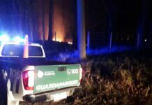 Guardaparques aconseja sobre cuidados para evitar incendios forestales