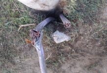 La UPC informa vandalismo en el servicio de energía en Quequén