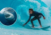 Conmoción en Australia: una promesa del surf de 15 años murió tras el ataque de un tiburón de más de cuatro metros