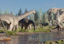 Descubrieron un nuevo dinosaurio en Patagonia que pesaba 15 toneladas y era herbívoro
