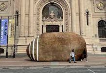 Polémica en Chile por obra de arte que fue pagada 25 mil dólares por el gobierno