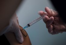 Recomiendan vacunarse contra la fiebre hemorrágica argentina: un hombre murió tras contagiarse en Rosario