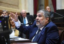 Ante la caída del proyecto de ley ómnibus, ahora los senadores de UxP buscan bajar el DNU