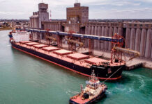 Comunidad Portuaria 6 : Historia y ciencia ciudadana