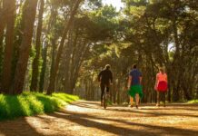 Se convoca a reunión de guías de turismo con título de nivel superior