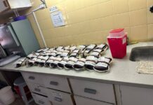 Se acerca el Día del Donante de Sangre y desde el hospital remarcan la importancia de dar de manera voluntaria