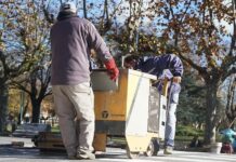 Múltiples trabajos del área de Servicios Públicos para mantener prolija la ciudad