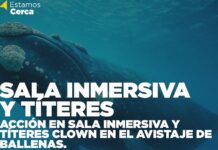 Vacaciones de invierno: Turismo instalará un domo sobre ballenas para la infancia