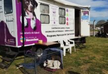 El Municipio brinda una nueva jornada gratuita de castración masiva de mascotas
