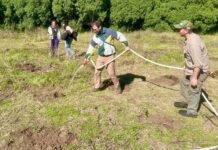 Jornada de plantación en el Parque Miguel Lillo con el objetivo de producir leña con fines sociales