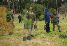 Nueva jornada de plantación en el Parque Miguel Lillo