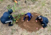 Jornada de plantación en el parque junto a estudiantes del Colegio Danés