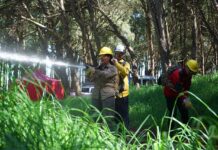 Con despliegue en distintos sectores del parque se practicaron técnicas de combate de incendios