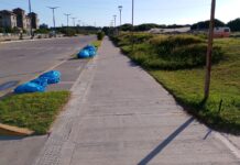 La gestión intensifica las tareas de mantenimiento y acondicionamiento en espacios públicos