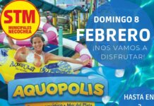 El STM invita a disfrutar el verano juntos