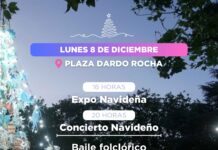 Encienden las luces del Árbol de Navidad gigante en la Plaza Dardo Rocha.