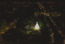 “Es muy lindo ver a tanta gente en la plaza para disfrutar del Árbol”
