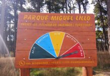 Riesgo extremo de incendios: recomendaciones para preservar el Miguel Lillo