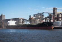 Puerto Quequén sigue sumando toneladas exportadas