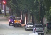 Rápida intervención del Centro de Monitoreo permitió frustrar un intento de hurto