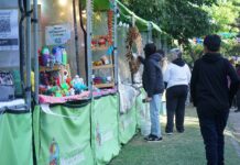 Impulso al consumo: Cuenta DNI llega al Festival Infantil para beneficiar a emprendedores y aliviar el bolsillo