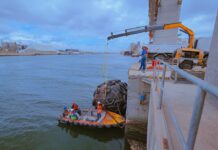 Realizaron trabajos de mantenimiento en las defensas neumáticas de Puerto Quequén