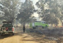 Guardaparques y Defensa Civil dieron apoyo en un incendio forestal en la Villa Zabala
