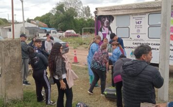 Nueva jornada de castración gratuita fortaleció el cuidado responsable de mascotas en los barrios
