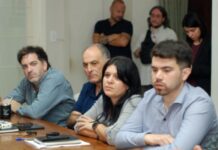 Solicitan reconocer como válidos los documentos digitales de la app Mi Argentina