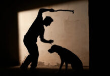 La Libertad Avanza impulsa una reforma histórica para endurecer sanciones por maltrato animal en Necochea