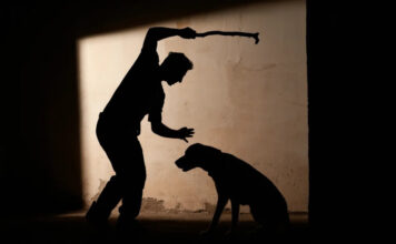 La Libertad Avanza impulsa una reforma histórica para endurecer sanciones por maltrato animal en Necochea