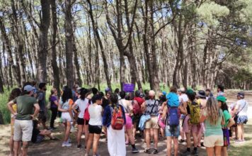 Celebrarán el Día de la Micología con una caminata por el Sendero del Hongo, charla y observación