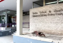 Muestra y “Viernes de Cine” en el Centro Cultural Necochea