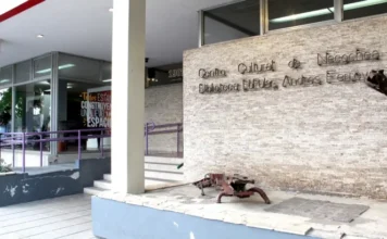 Muestra y “Viernes de Cine” en el Centro Cultural Necochea