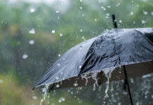 Minuta de comunicación de La Libertad Avanza