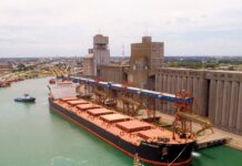 Puerto Quequén tiene todos sus muelles ocupados, operando buques