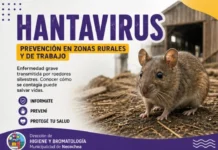 Bromatología brinda información útil para prevenir el Hantavirus
