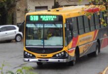 Choferes de colectivos realizan hoy sorpresivas medidas de fuerza por deudas salariales