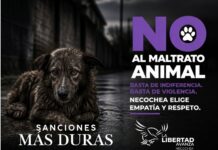 La Libertad Avanza impulsa una reforma histórica para sancionar con multas el maltrato animal en necochea