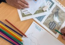 Puerto Ciudad, construyendo comunidad