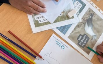 Puerto Ciudad, construyendo comunidad