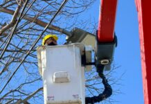 Comenzó el recambio de luminarias en calles, avenidas y espacios públicos con una inversión municipal
