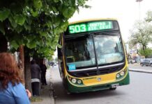 Mañana no habrá servicio de los colectivos Verdes y peligran los Azules