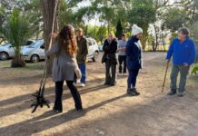 Muy buena respuesta de los vecinos en el inicio de la entrega gratuita de árboles