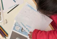 Puerto Ciudad impulsa experiencias educativas inclusivas que fortalecen el vínculo entre el puerto y la comunidad