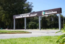 Concejales preguntan por el corte de árboles en el Parque