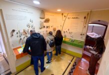 Museos: invitan a recorrer las salas y descubrir las muestras con los horarios especiales del receso invernal