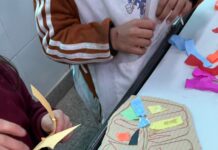 Puerto Ciudad en la Escuela 49: Cuándo el arte enseña a mirar el puerto
